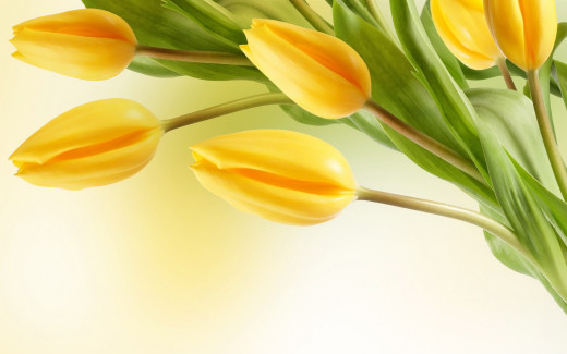 488863 (a): :1920x1200